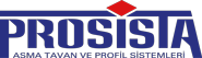 Prosista